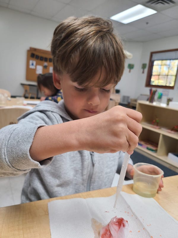 Week Eight Newsletter 2025/26 - Gan Rochester